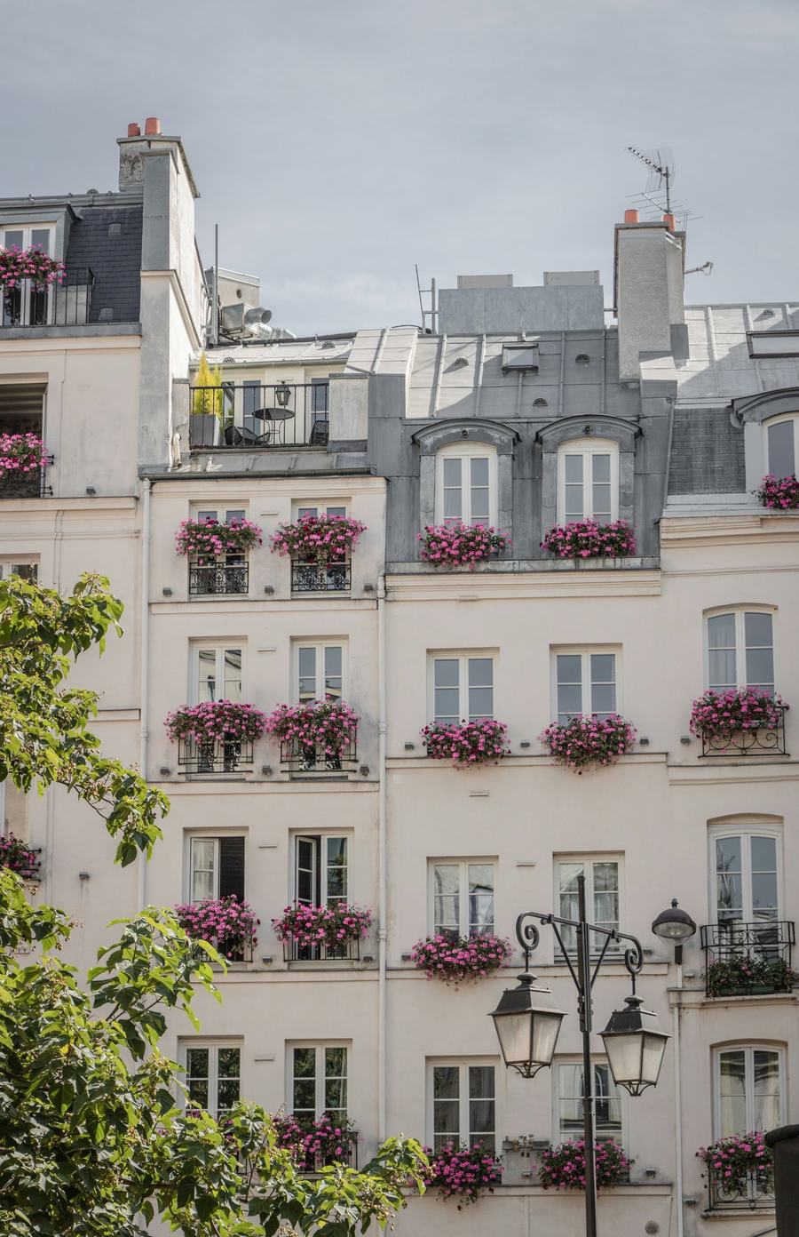 A Parisian façade with pink flowers at the windows